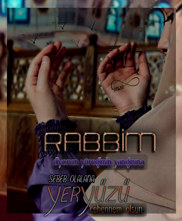ovlkr7r7.jpg