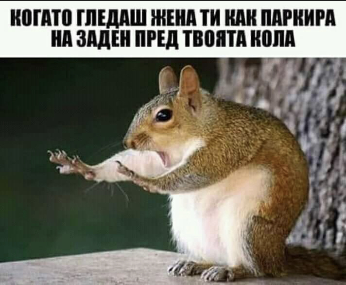 oospcvuj.jpg