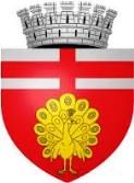 city coat of arms Botoşani