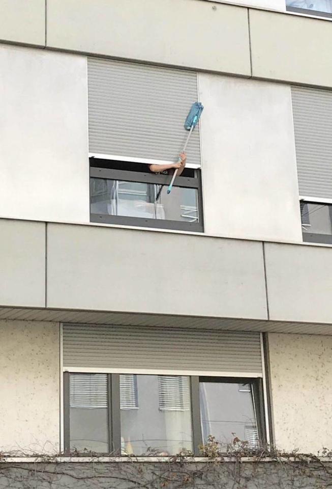 cwzldczi.jpg