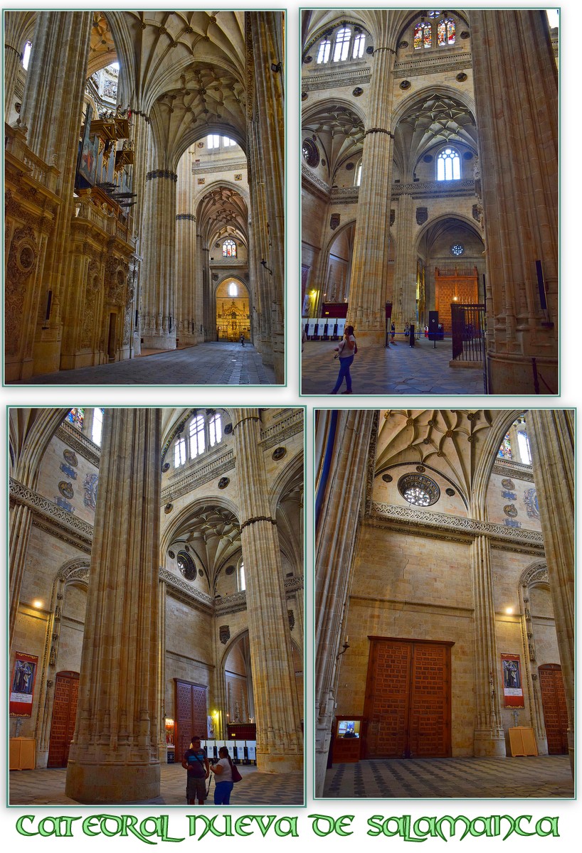 https://s16.directupload.net/images/user/190402/urfkfztp.jpg
