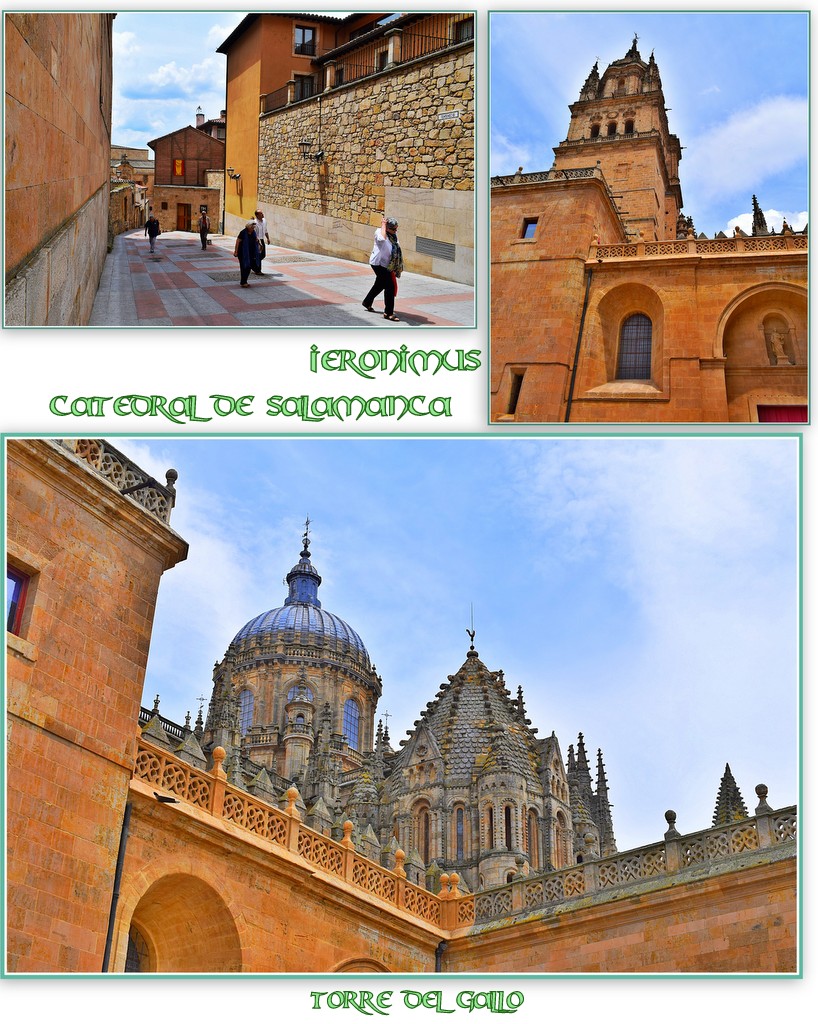 https://s16.directupload.net/images/user/190405/d555dt6i.jpg