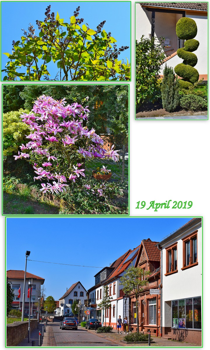 https://s16.directupload.net/images/user/190420/3kh28jjt.jpg