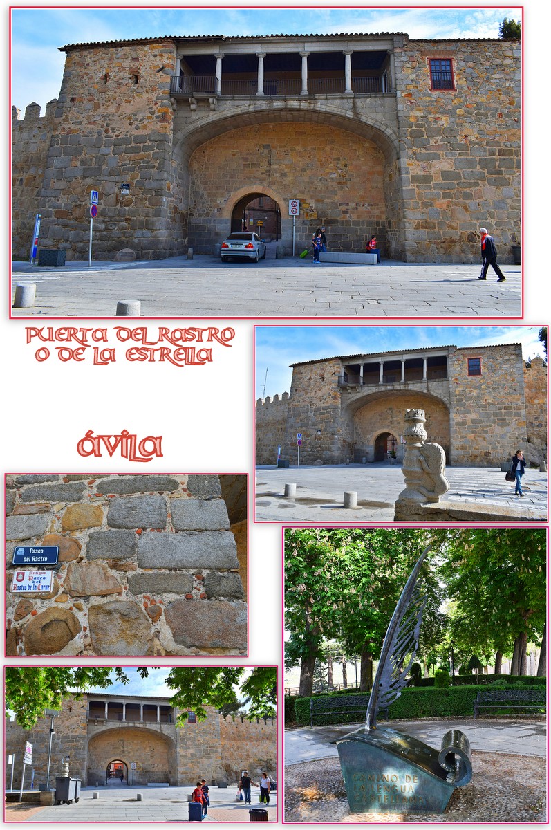 https://s16.directupload.net/images/user/190424/zsgy7i6r.jpg